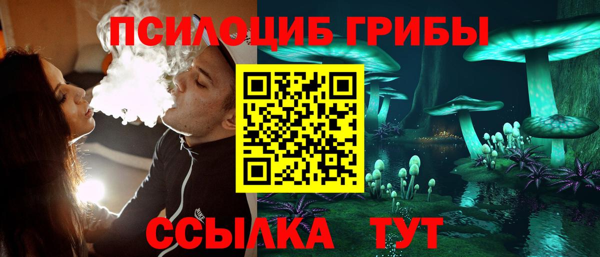 Соликамск  Псилоцибиновые грибы Cubensis  Вход с VPN 